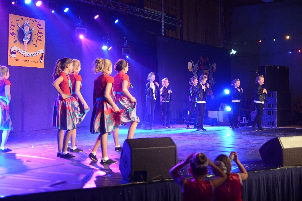 ../Images/Dansmarieke Festival 2016 286.jpg